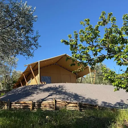 Casa Eviano, Verdicchio & Oliva * Molino di Carassai